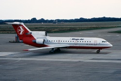 LY-AAV